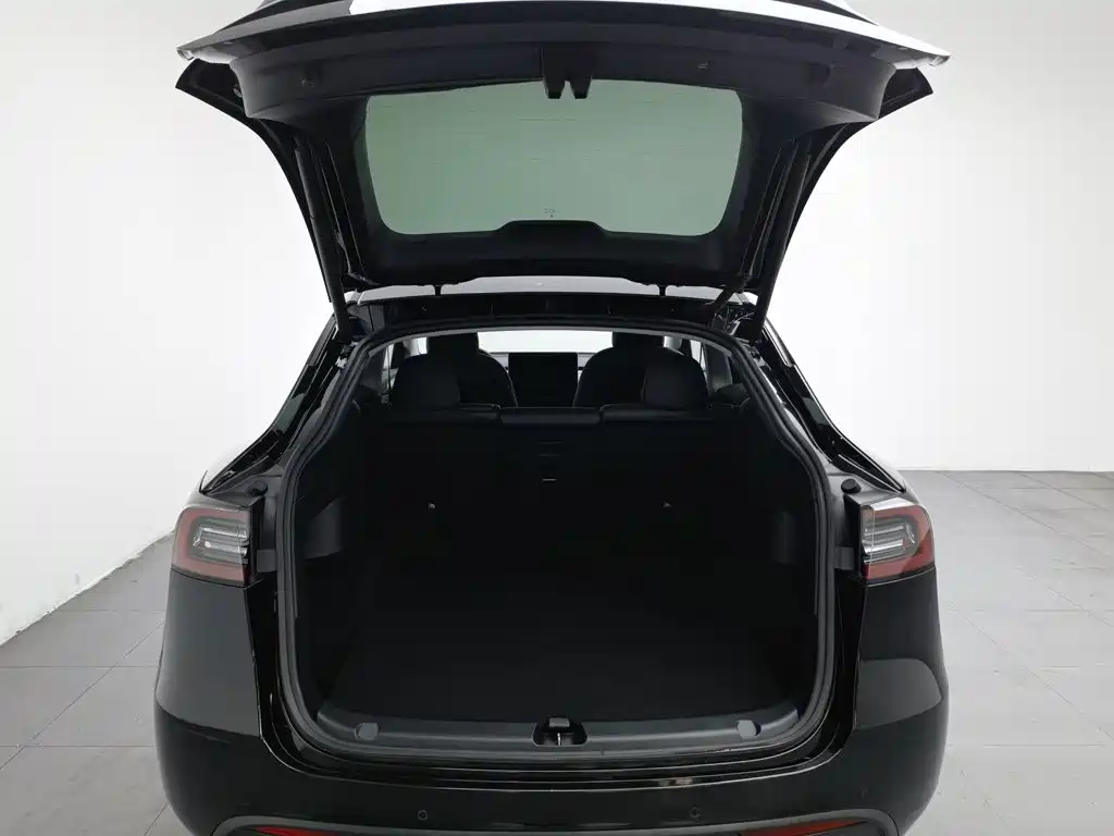 Tesla Model Y — миниатюра 16