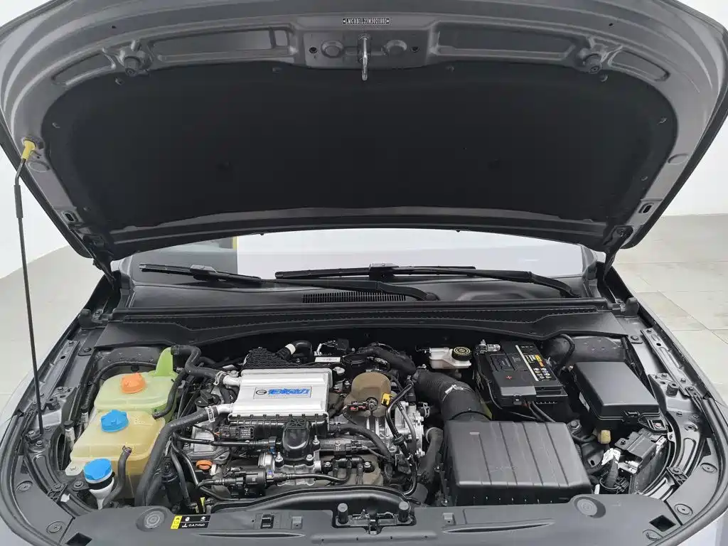 GAC Motor Shadow Leopard — миниатюра 6