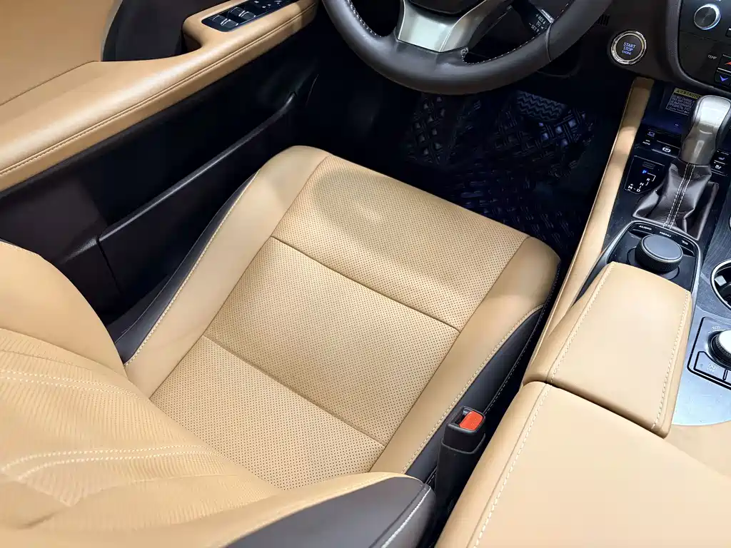 Lexus RX 300 4WD Elegant Edition China VI, фото 13