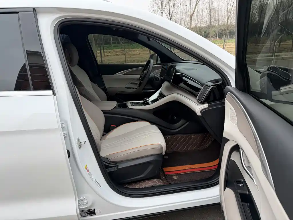 BYD SONGJIANG NEW ENERGY