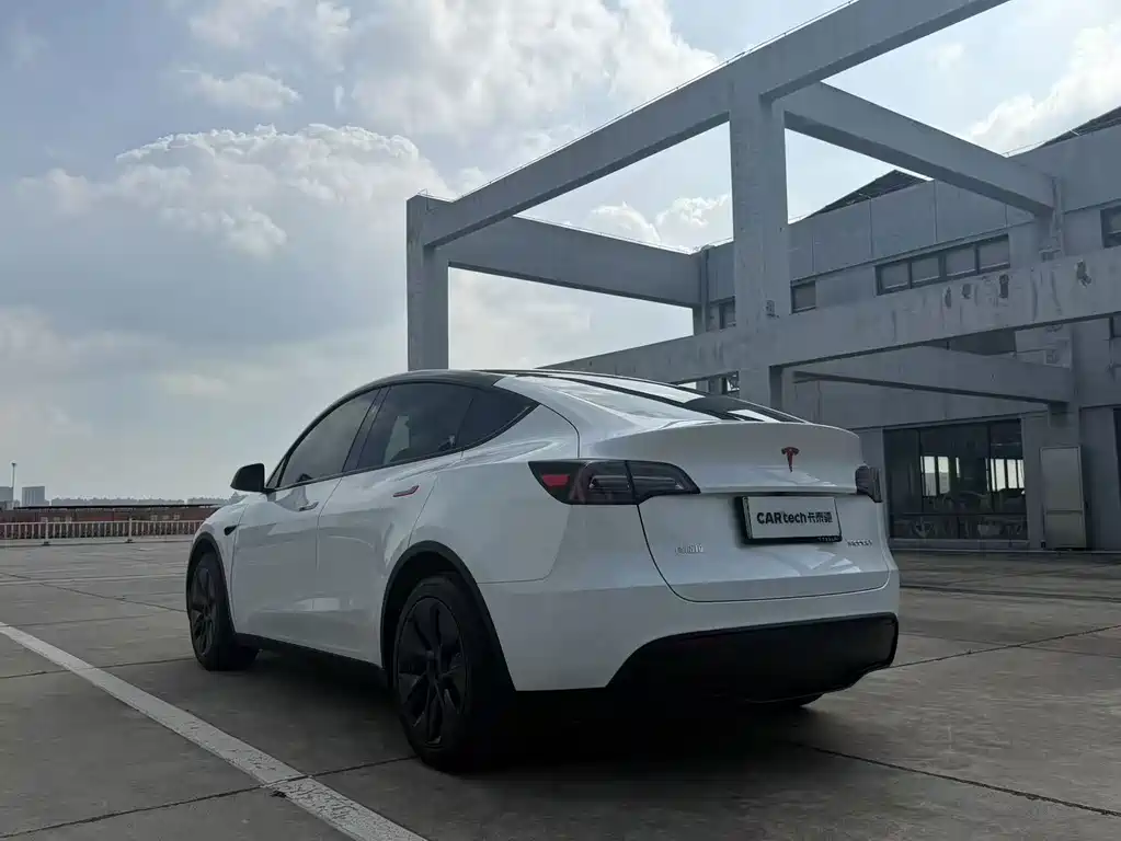 Tesla Model Y — миниатюра 7