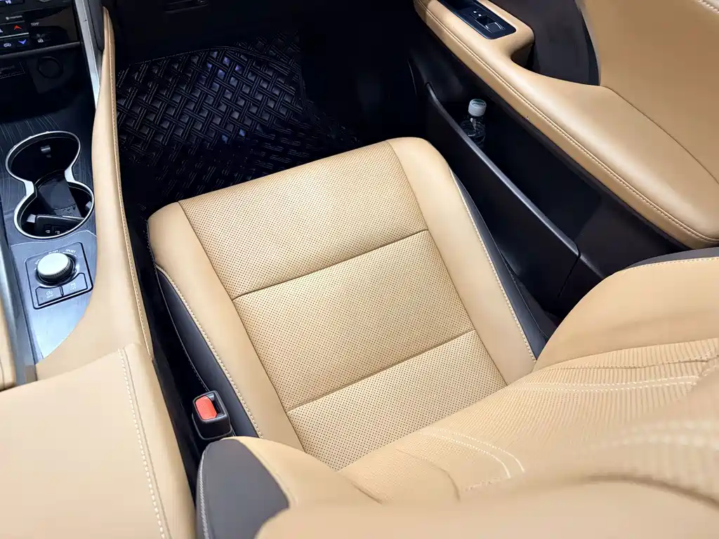 Lexus RX 300 4WD Elegant Edition China VI, фото 18