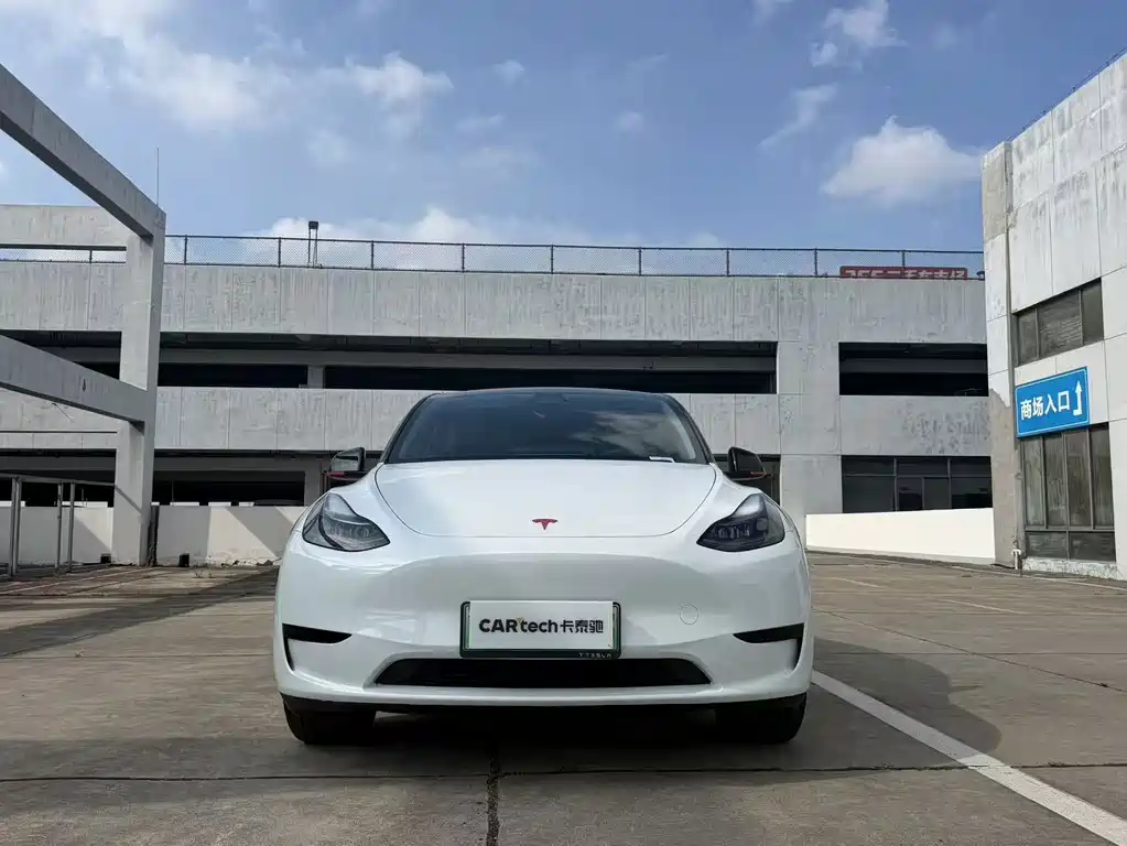 Tesla Model Y — миниатюра 2