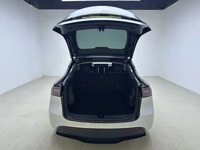 Tesla Model Y — миниатюра 15