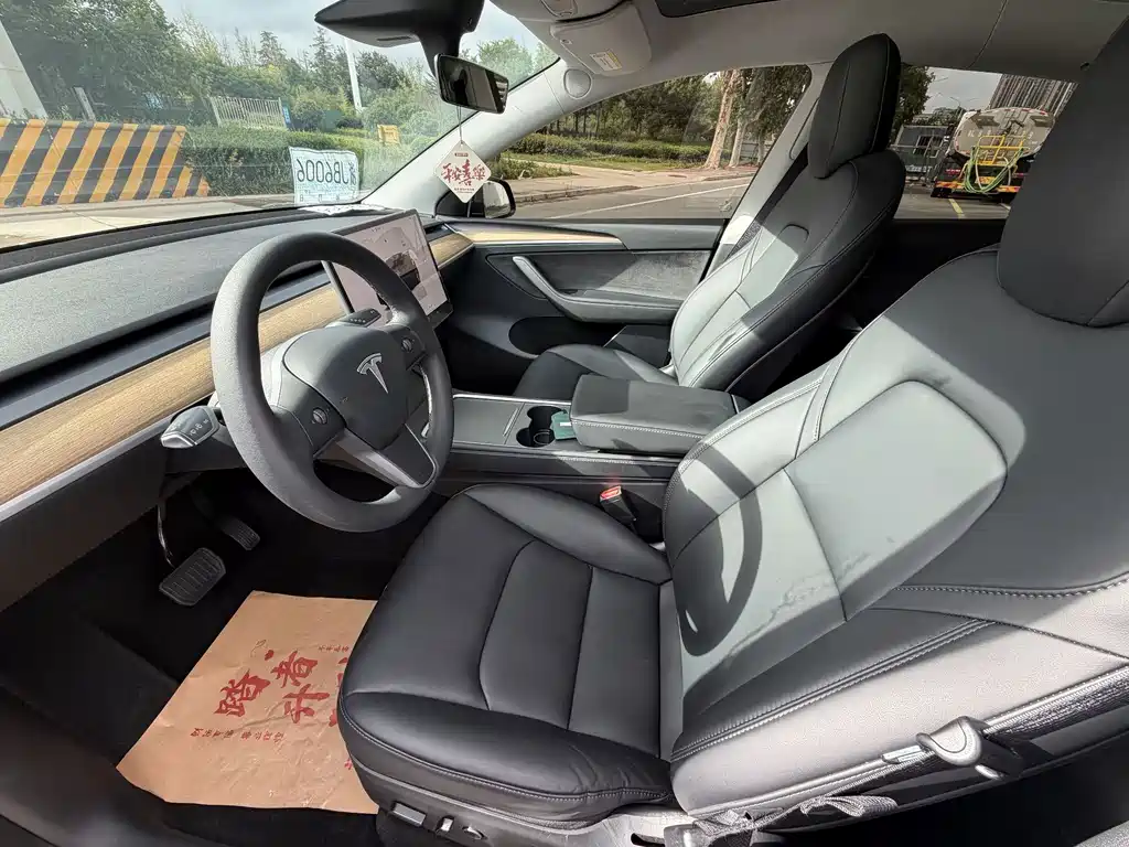 Tesla Model Y — миниатюра 6