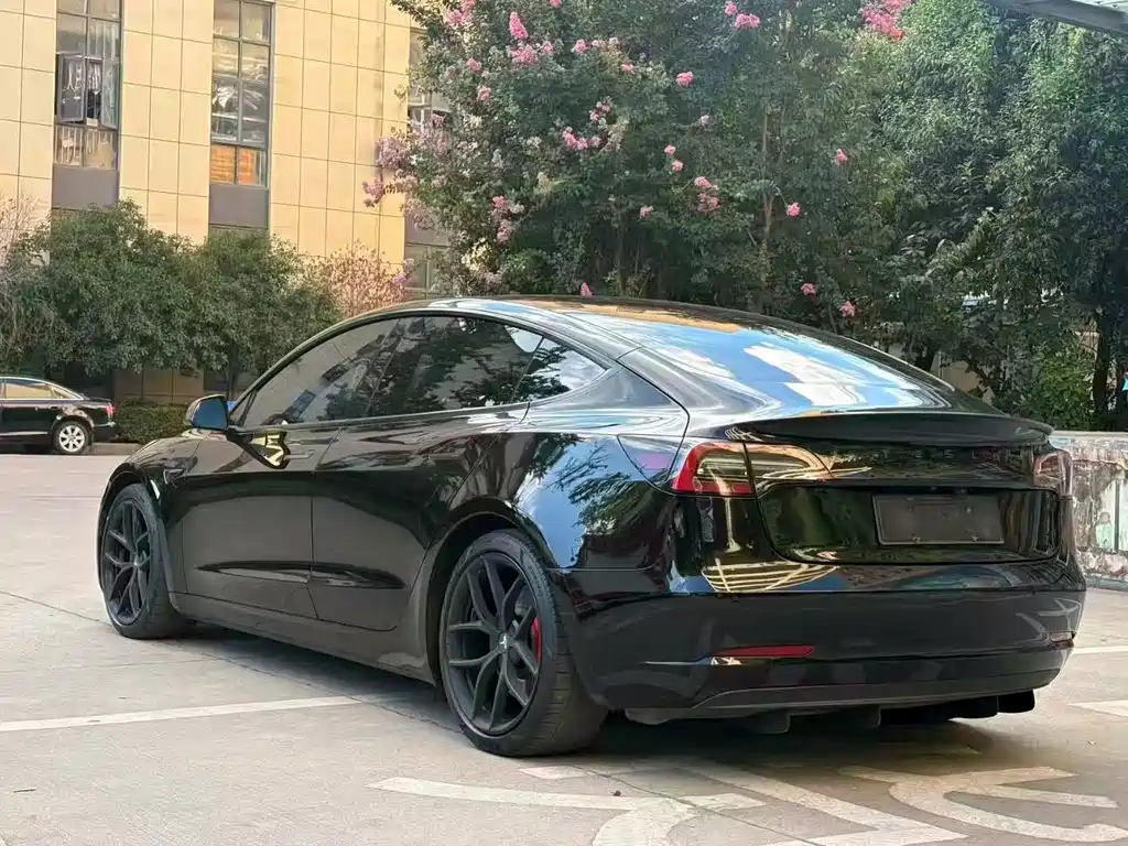 Tesla Model 3 — миниатюра 6