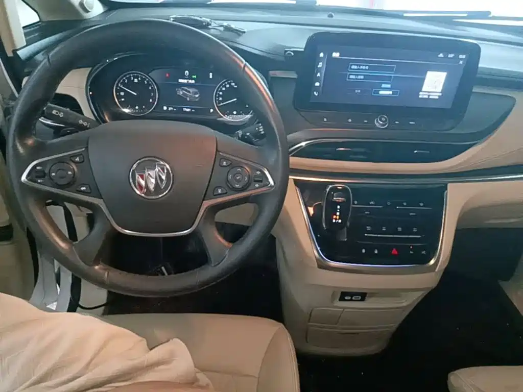 Buick GL8 — миниатюра 10