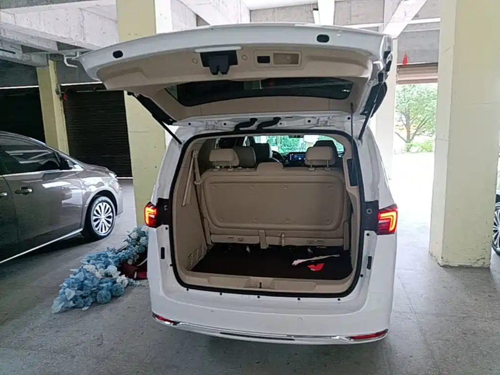 Buick GL8 — миниатюра 19