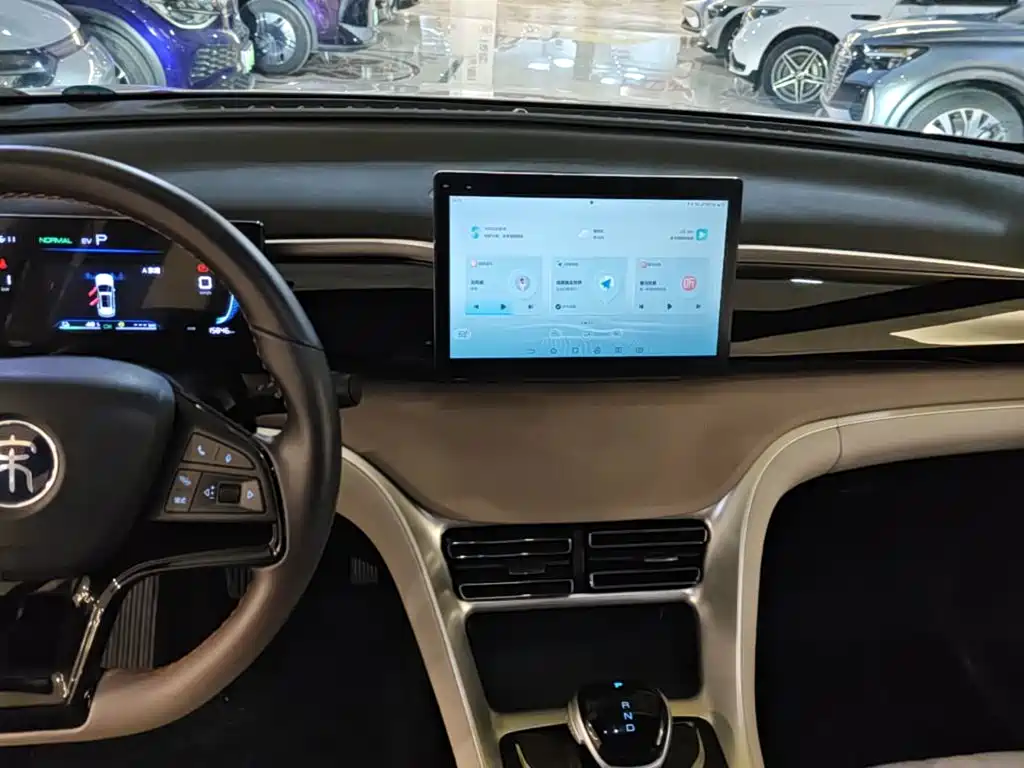 BYD Pro New Energy — миниатюра 13