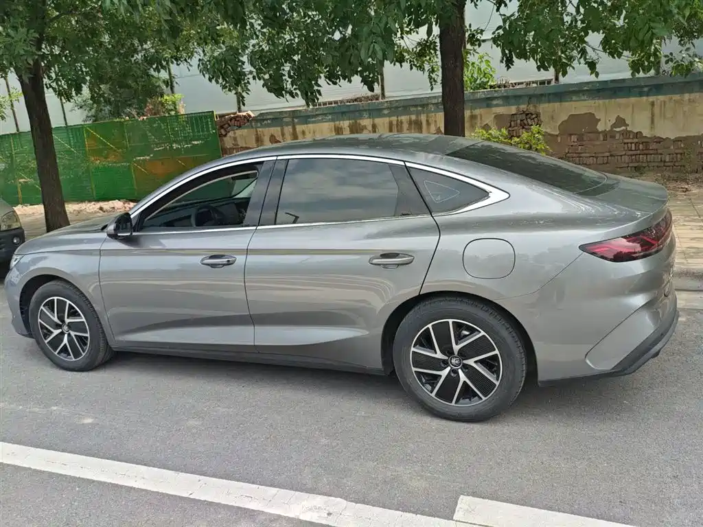 BYD QIN L