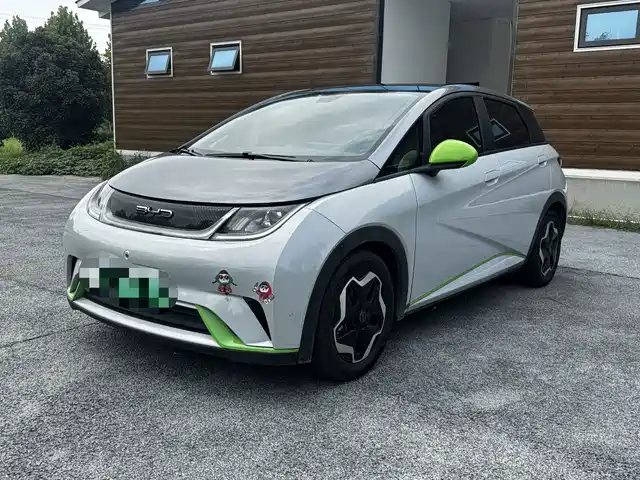 2021 BYD Dolphin