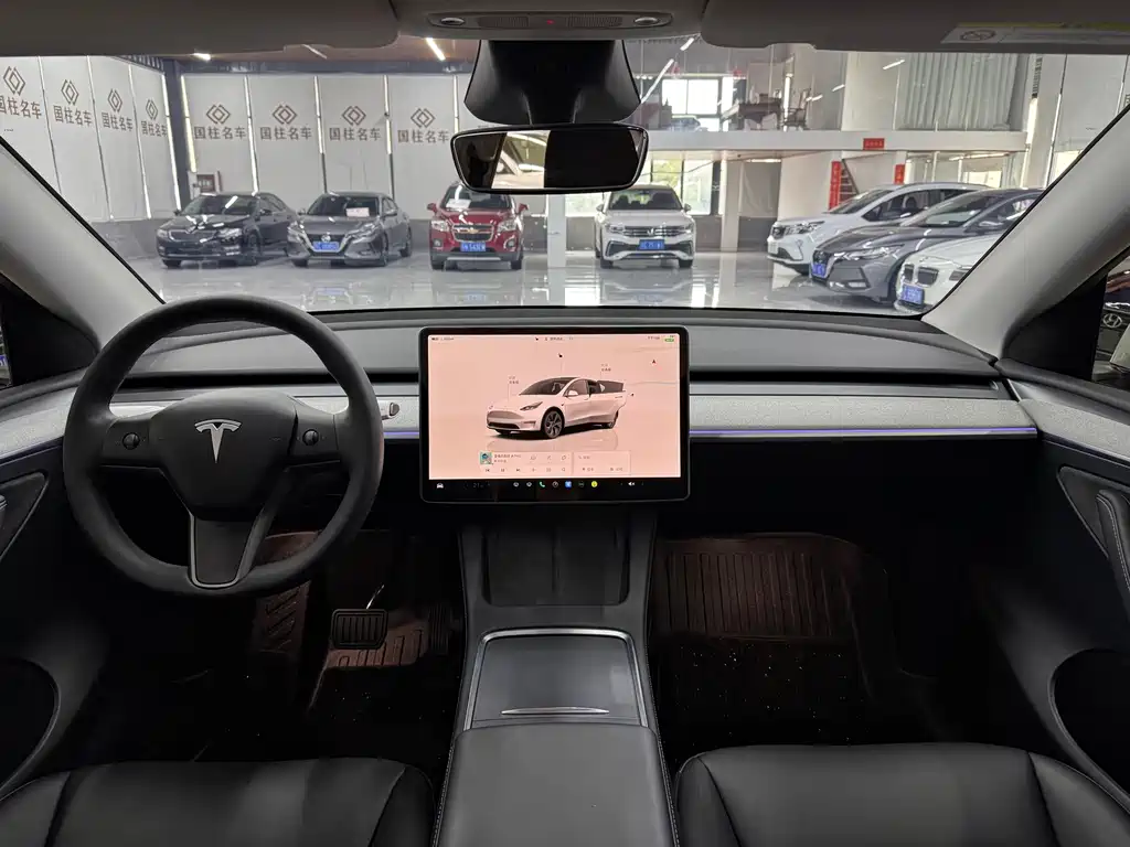 Tesla Model Y — миниатюра 12