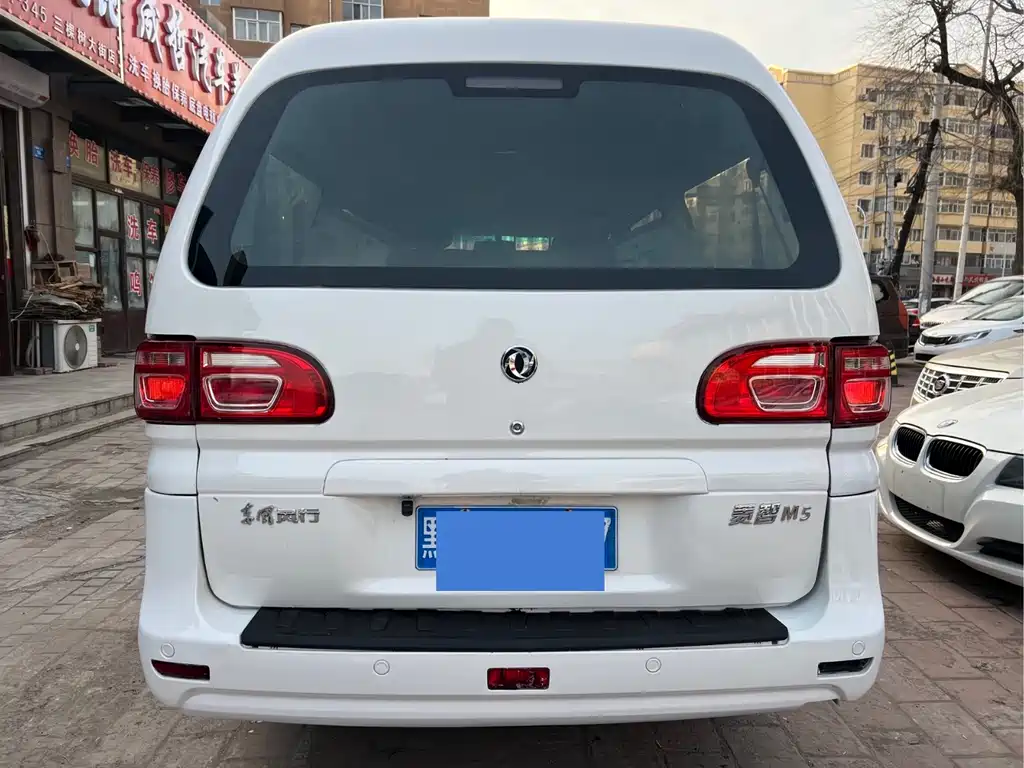 DONGFENG LINGZHI