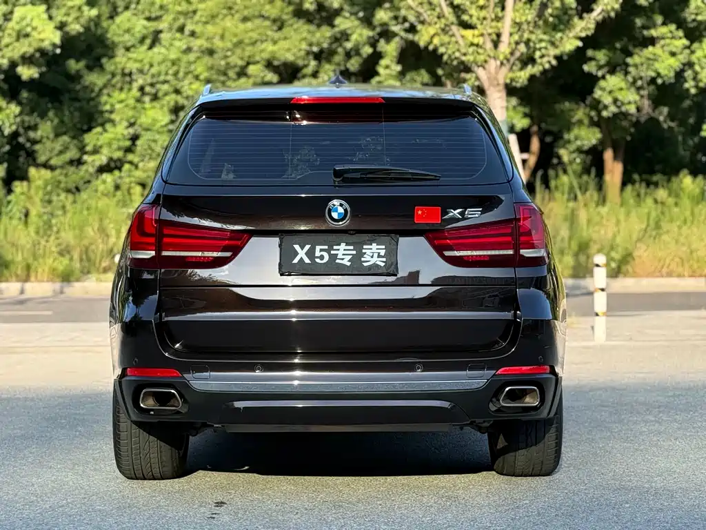 BMW X5 (Import) — миниатюра 5