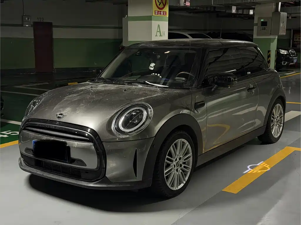 Mini Mini 2021