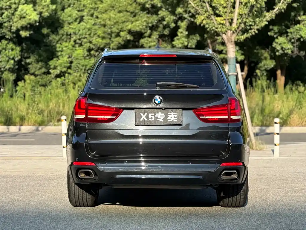BMW X5 (Import) — миниатюра 5