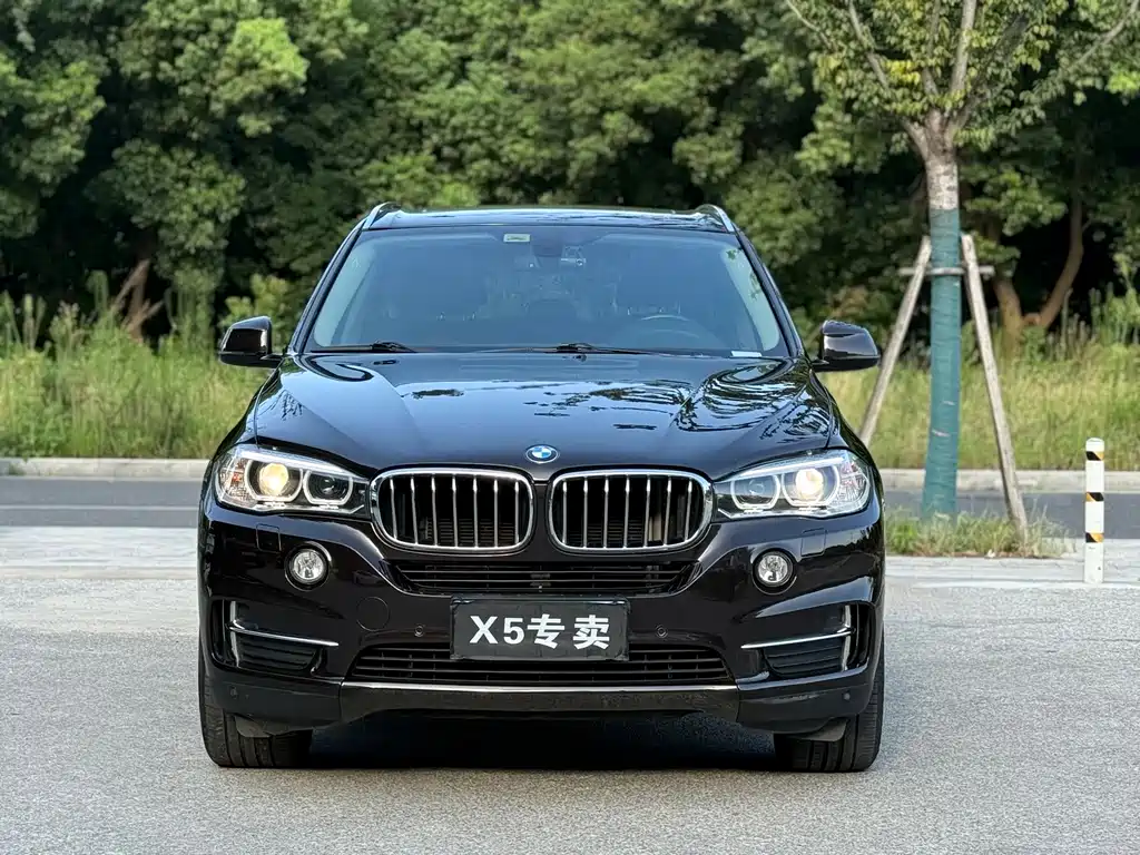BMW X5 (Import) — миниатюра 2