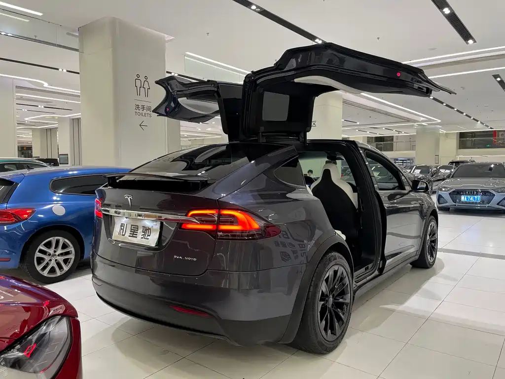Tesla Model X — миниатюра 3