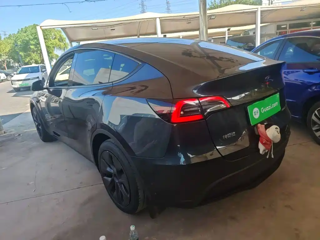 Tesla Model Y — миниатюра 5
