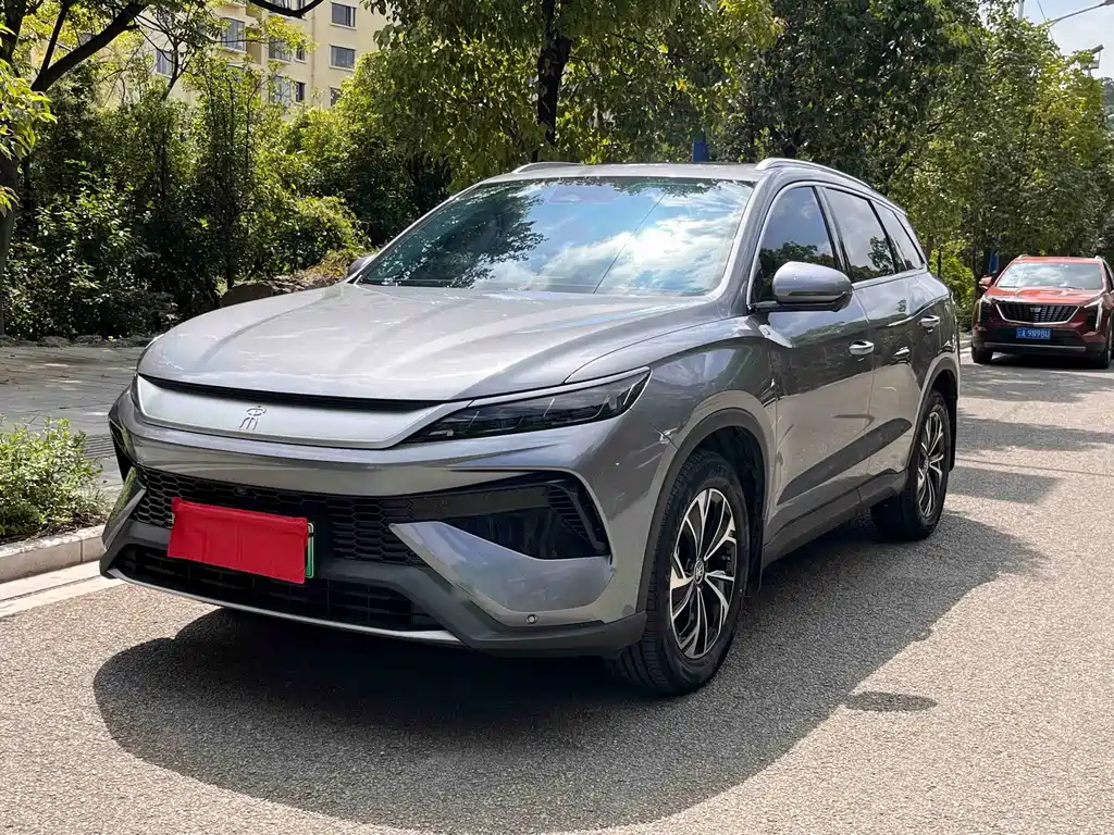BYD Pro New Energy
