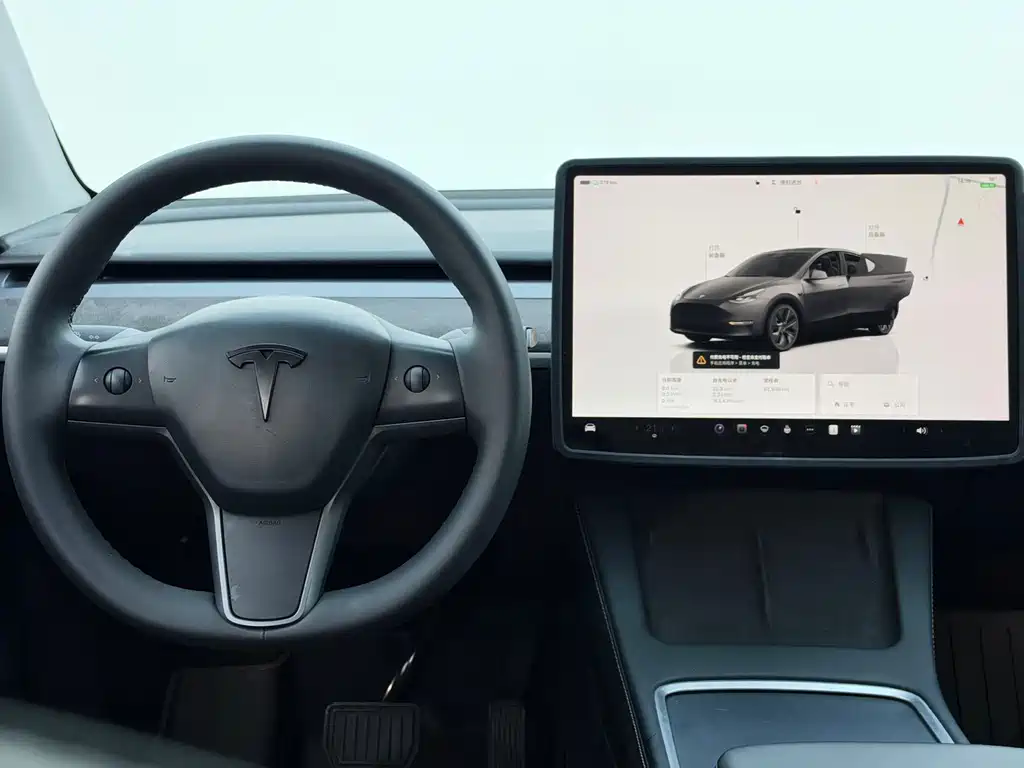 Tesla Model Y — миниатюра 5