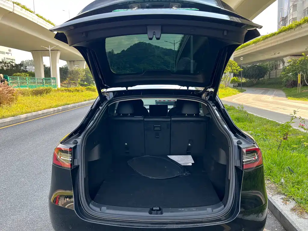 Tesla Model Y — миниатюра 8