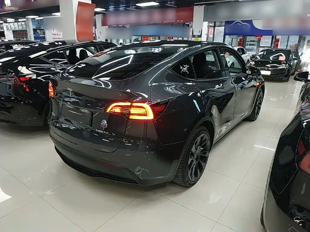 Tesla Model Y — миниатюра 7