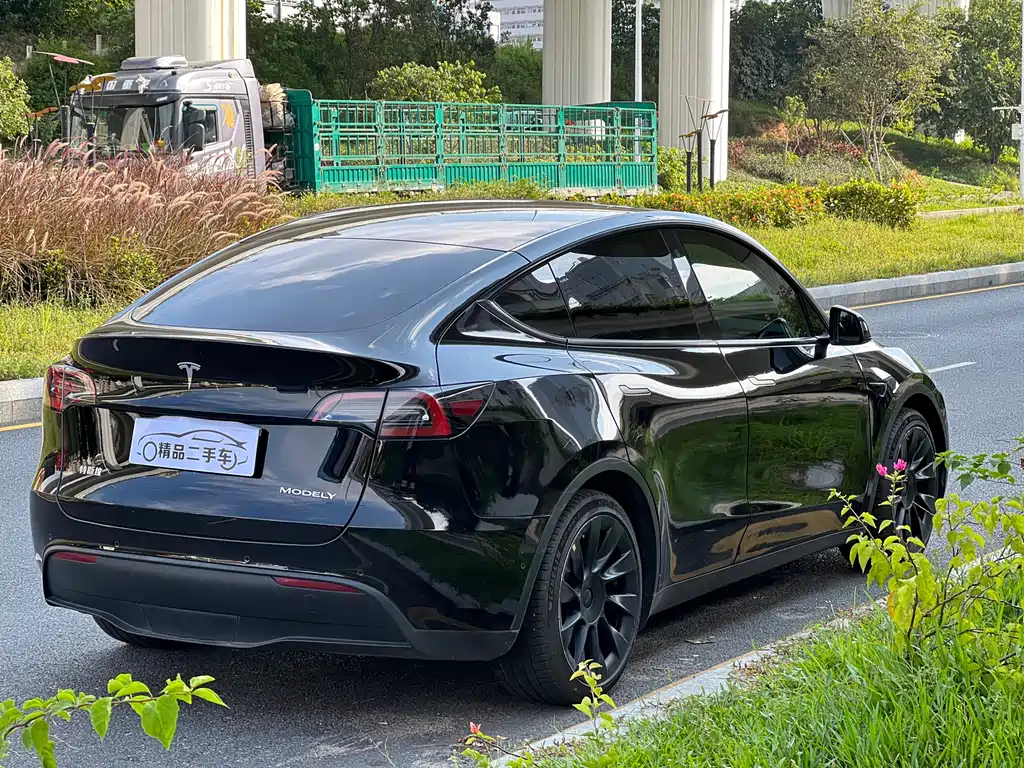 Tesla Model Y — миниатюра 7