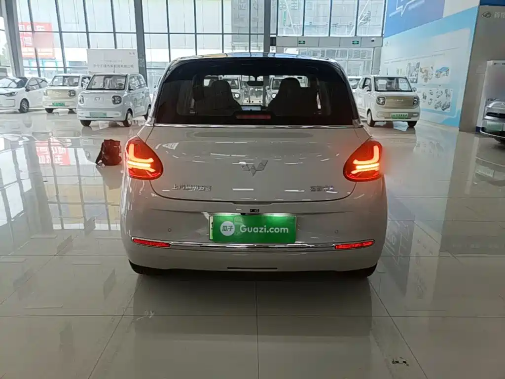 Wuling Binguo 2024 333km Enjoy