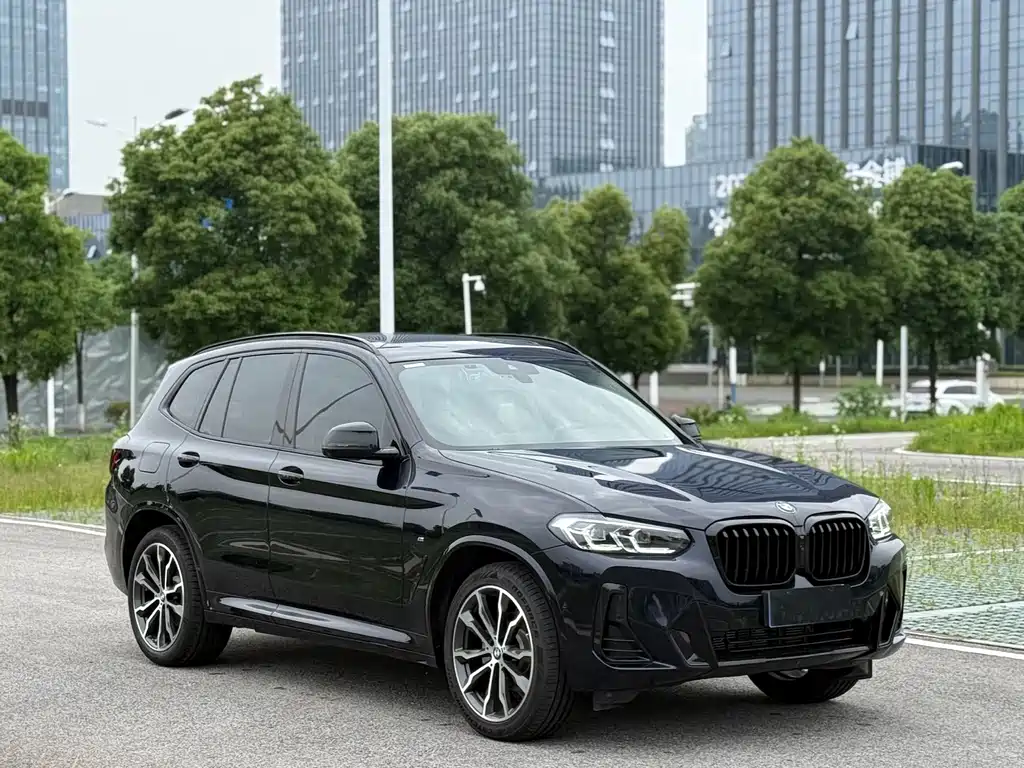 BMW X3 — миниатюра 3