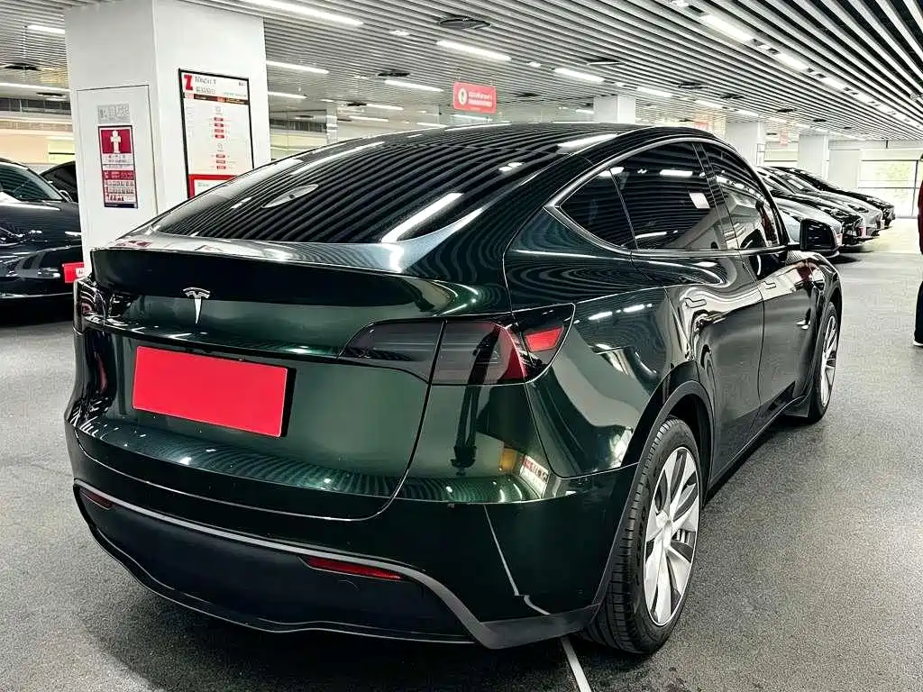 Tesla Model Y — миниатюра 4