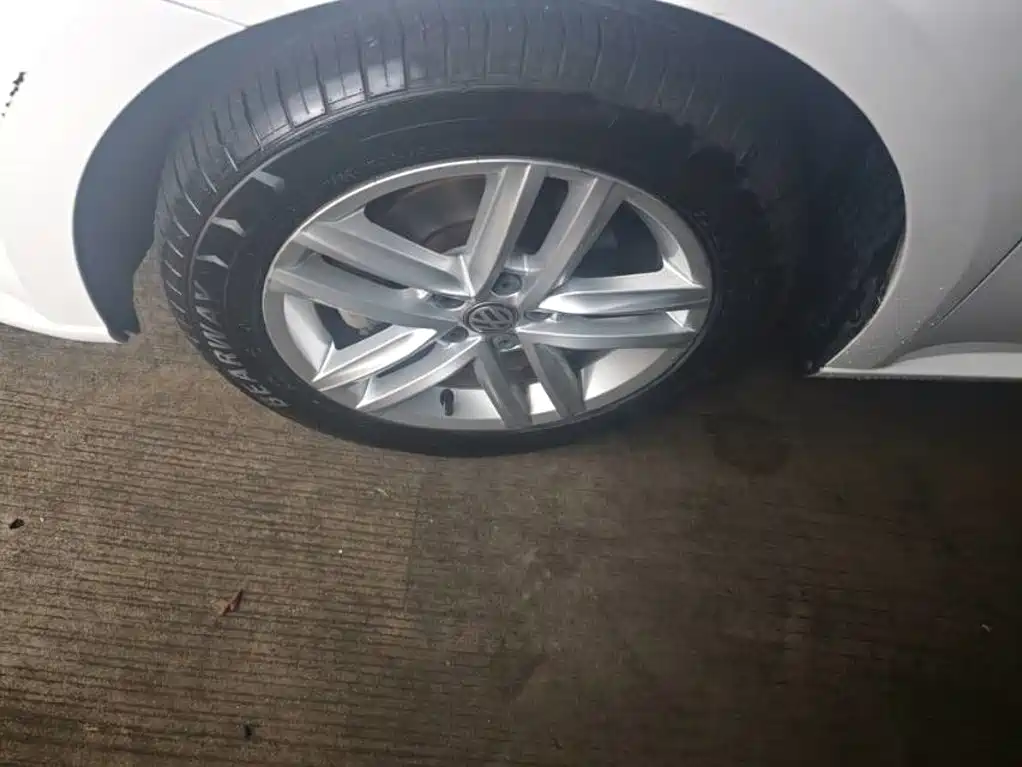 Volkswagen Gran Lavida — миниатюра 9