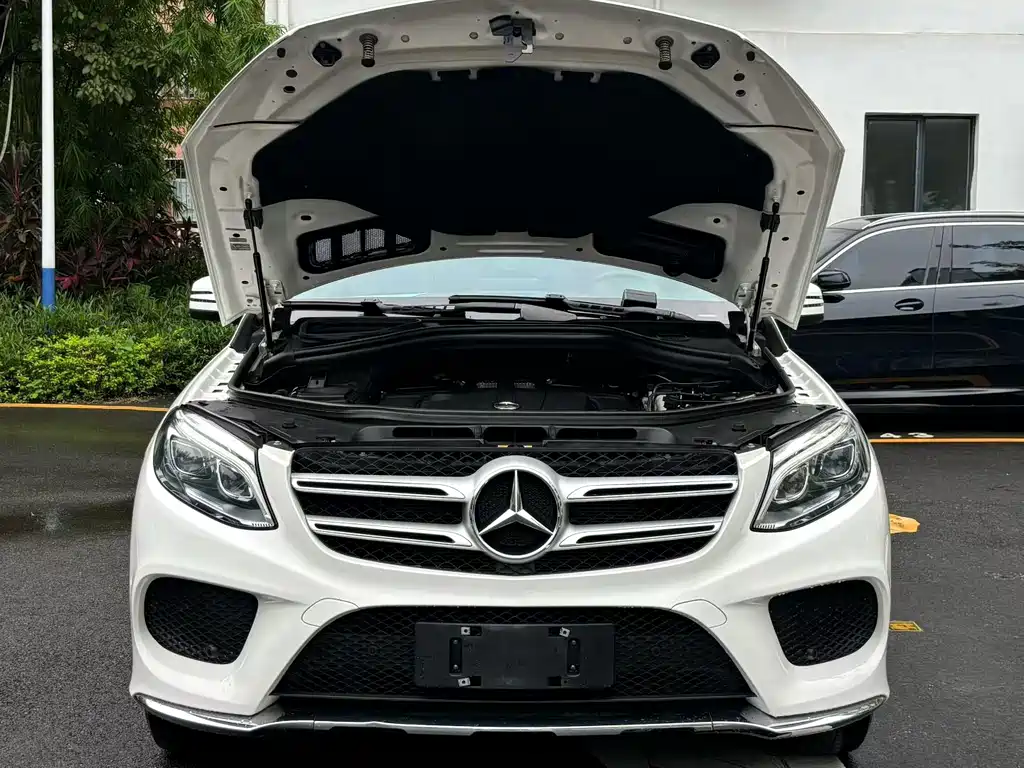 Mercedes-Benz 奔驰GLE(进口) — миниатюра 8