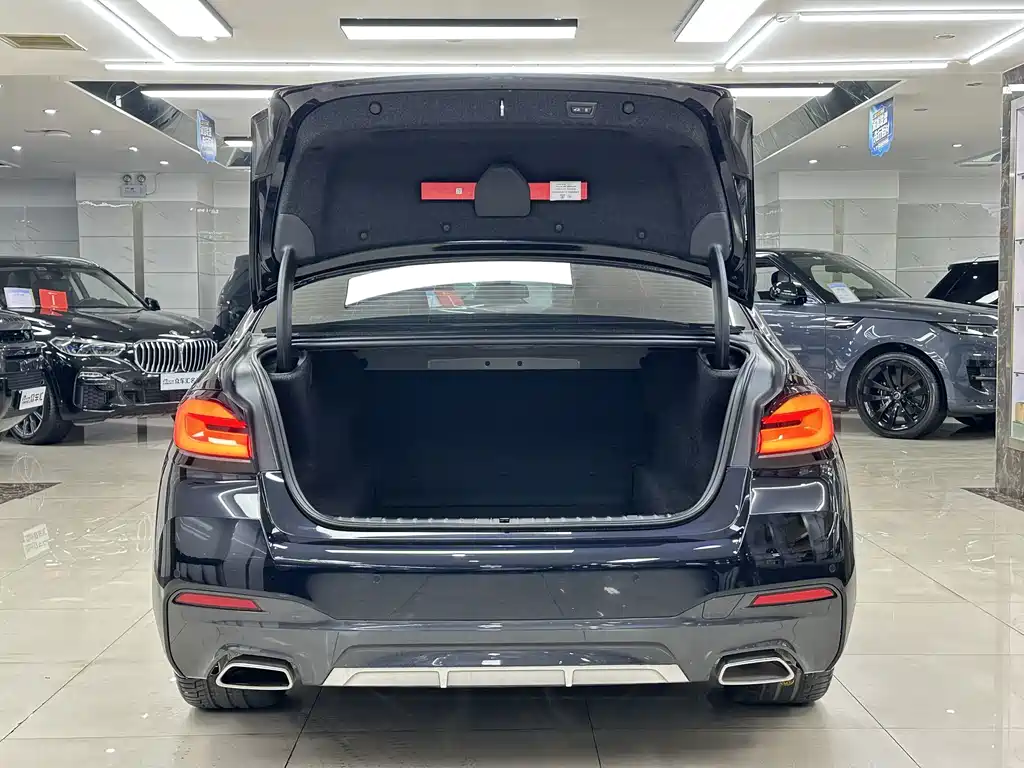 BMW 5 Series — миниатюра 7