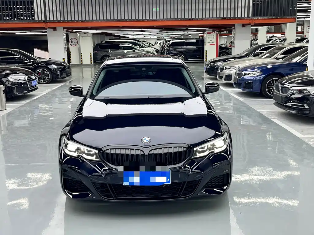 BMW 3 Series — миниатюра 2