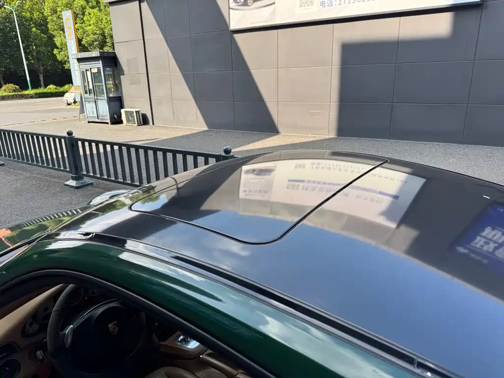 Porsche 911 — миниатюра 11