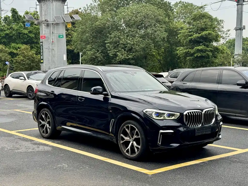 BMW X5 — миниатюра 4