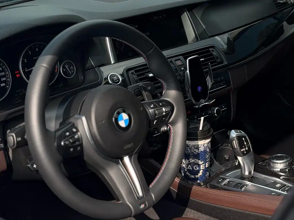 BMW 5 Series — миниатюра 28