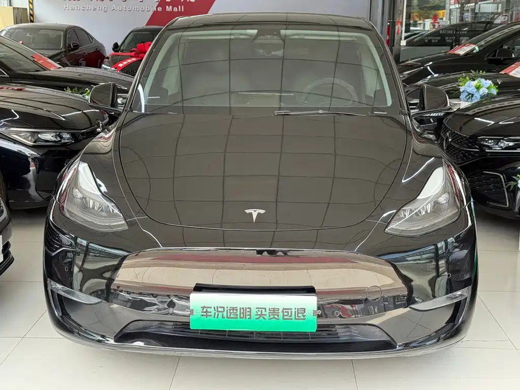 Tesla Model Y — миниатюра 2