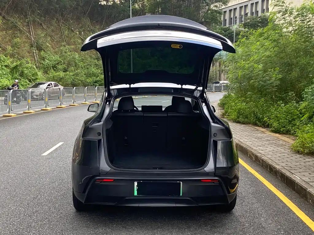 Tesla Model Y — миниатюра 17