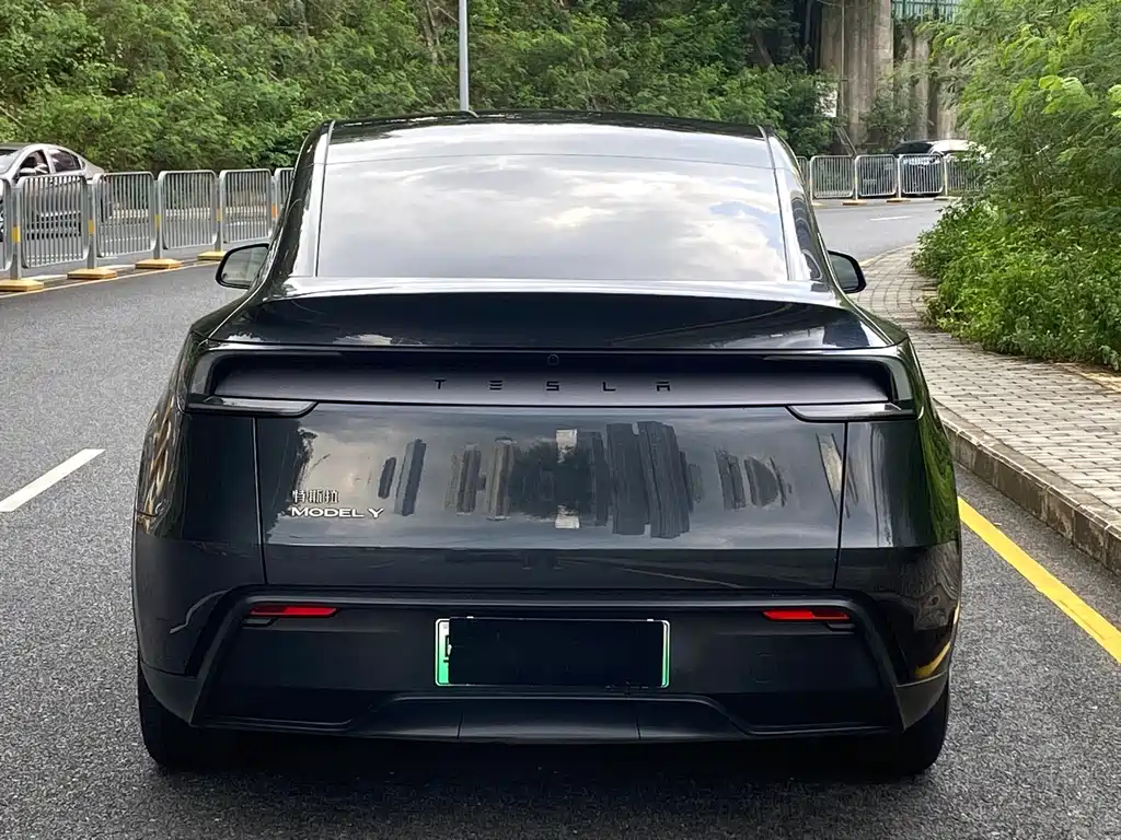Tesla Model Y — миниатюра 19