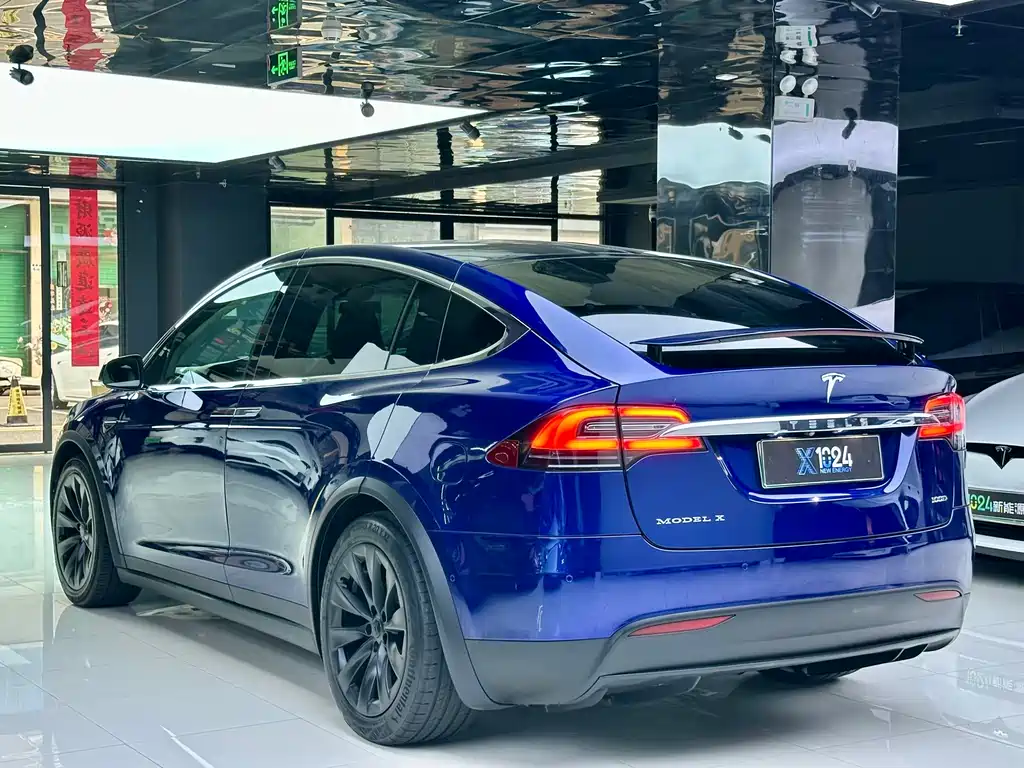 Tesla Model X — миниатюра 6
