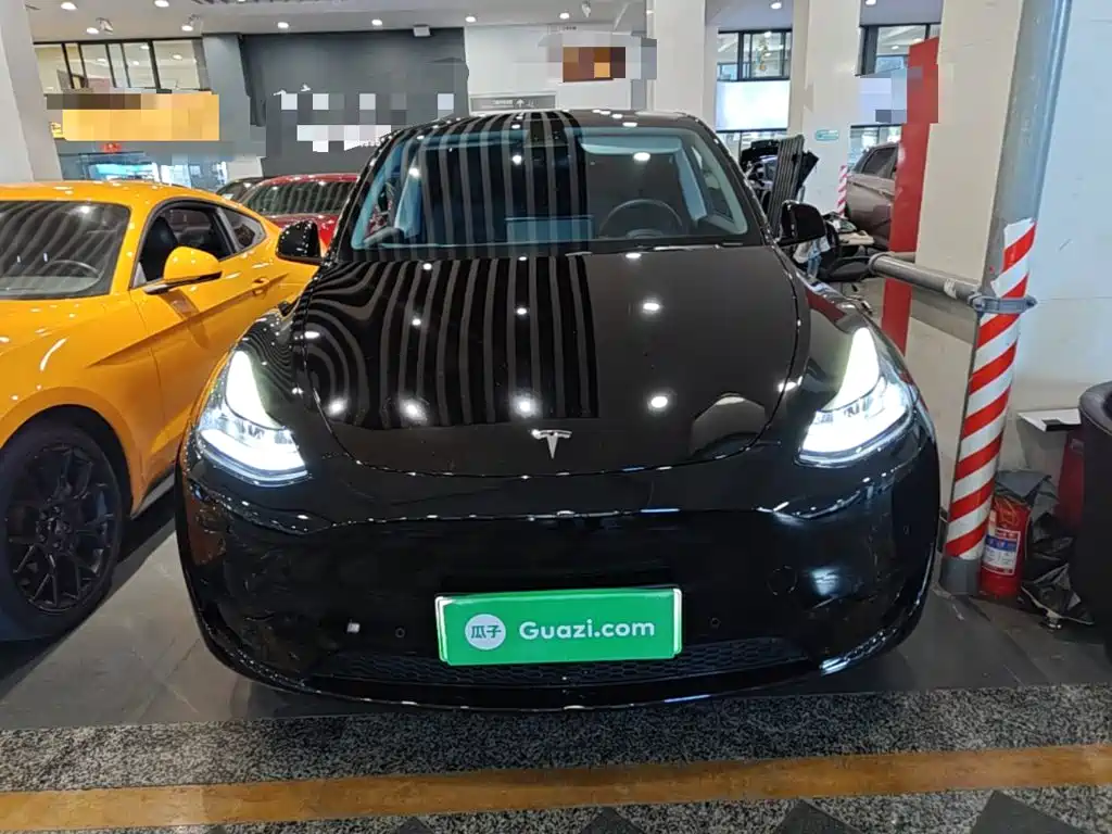Tesla Model Y — миниатюра 3