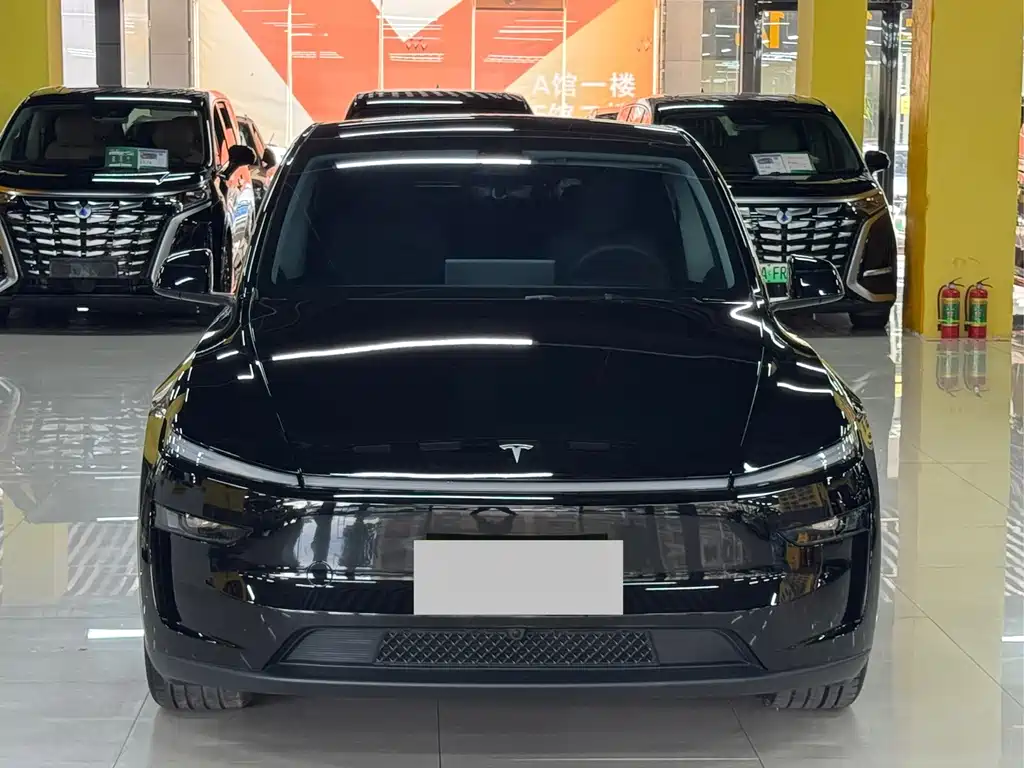 Tesla Model Y — миниатюра 2