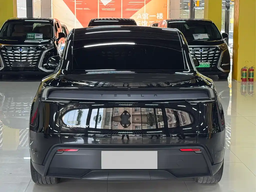 Tesla Model Y — миниатюра 15