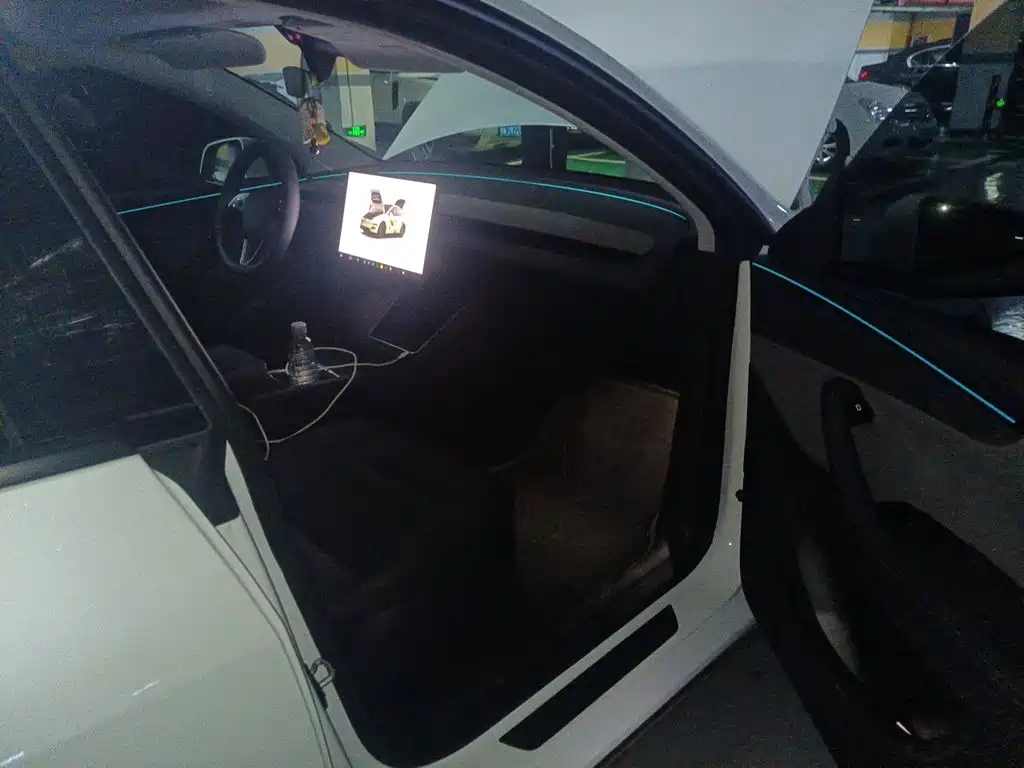 Tesla Model Y — миниатюра 19