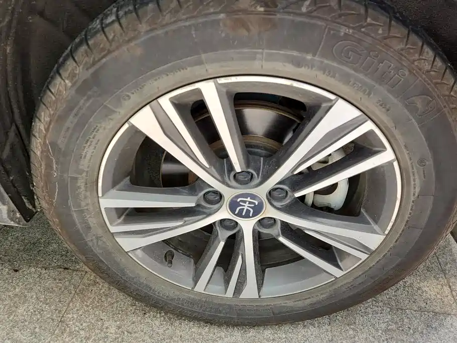 BYD Pro — миниатюра 6