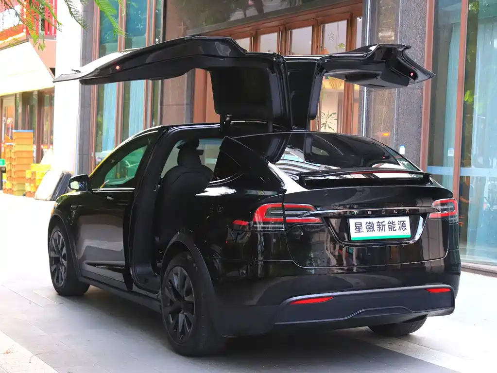 Tesla Model X — миниатюра 24