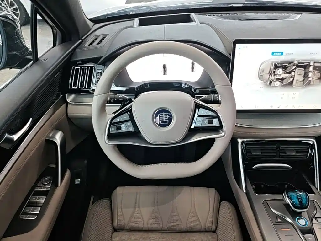 BYD Tang New Energy — миниатюра 11