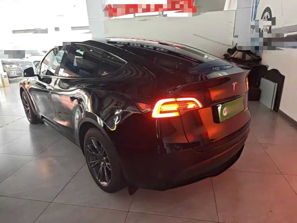 Tesla Model Y — миниатюра 5